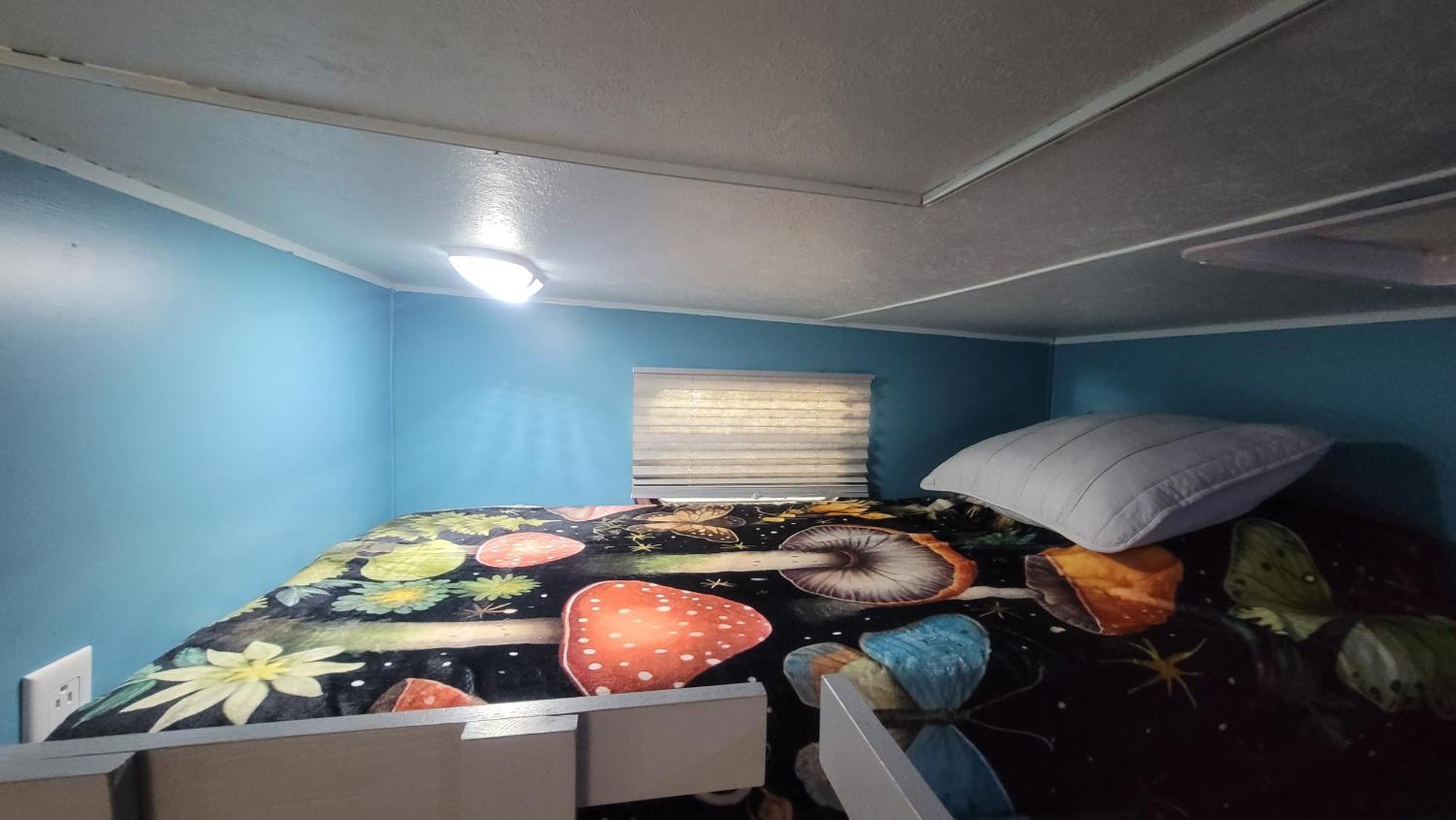 Shroom Life Farm Chicken Shack North Fort Myers Exteriör bild